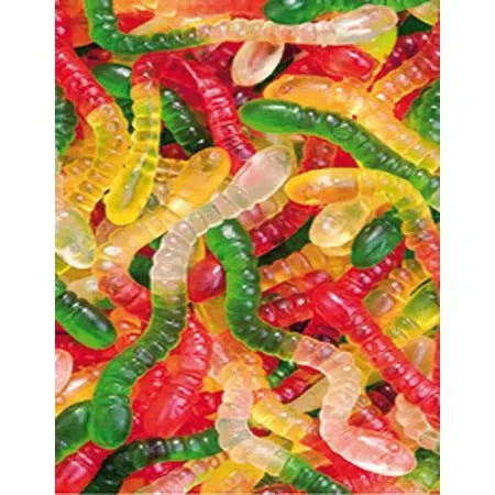 Vers de terre (100g)