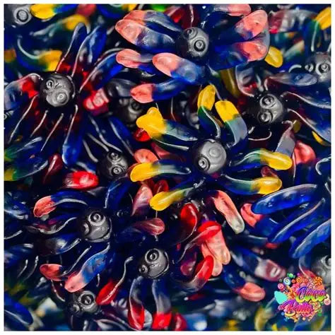 Araignées Lisse (100g)